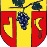 Kostice