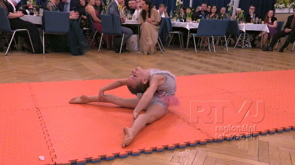 Reprezentační ples v Dubňanech v nádherném sále kulturního domu, foto 05