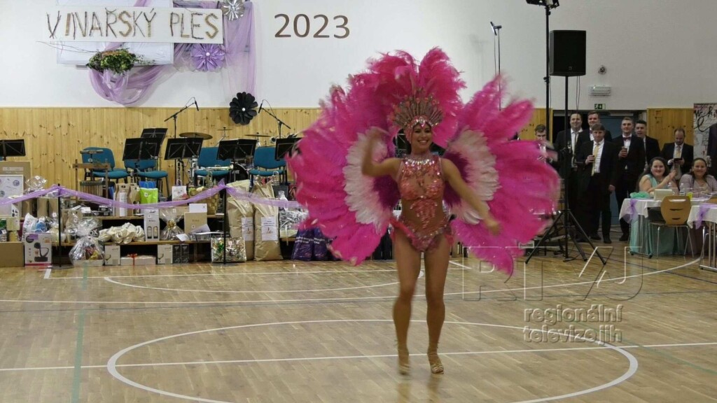 Vinařský ples v Hruškách s energickou osobností STARDANCE, foto 08