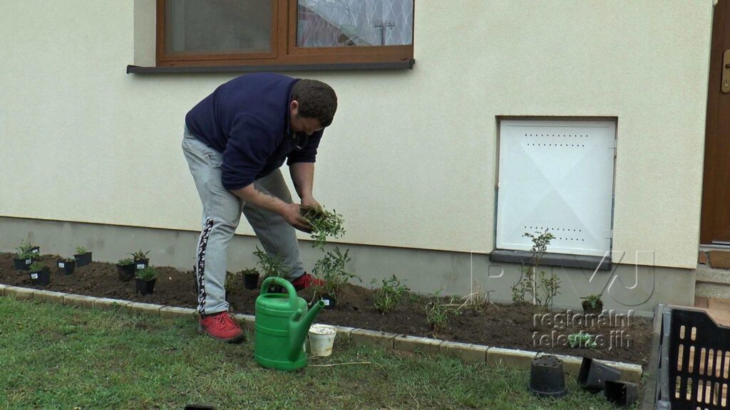 Výsadba předzahrádek v Tvrdonicích je v plném proudu, foto 08