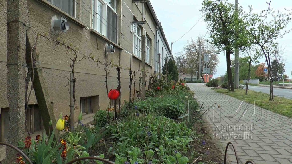 Výsadba předzahrádek v Tvrdonicích je v plném proudu, foto 10