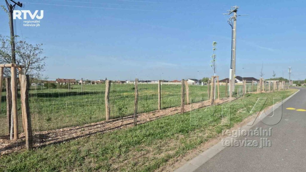 Obec Kostice zapracovala na Snížení dopadu klimatických změn, foto 02
