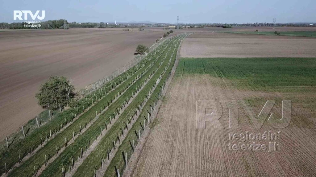 Obec Kostice zapracovala na Snížení dopadu klimatických změn, foto 07