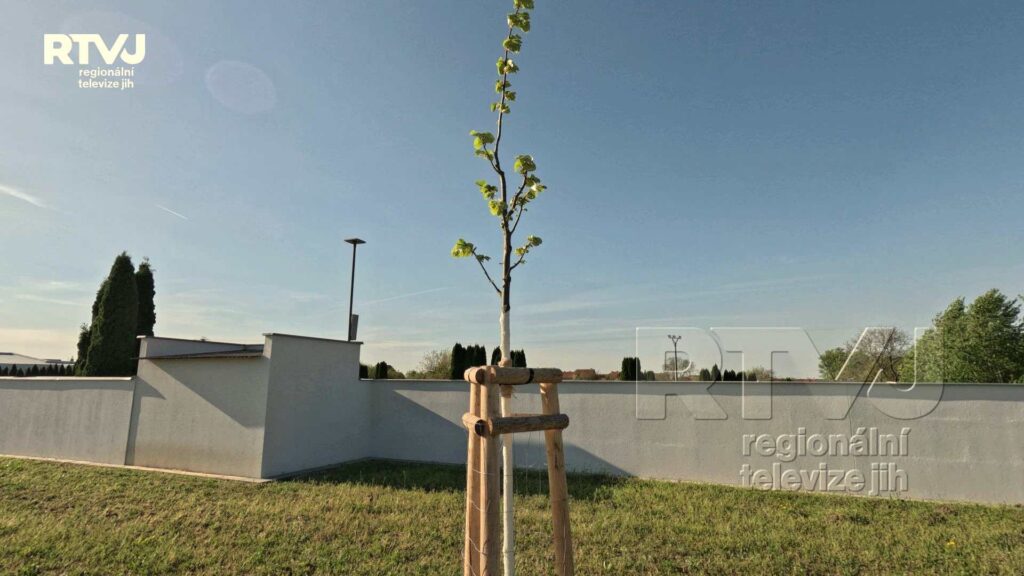 Obec Kostice zapracovala na Snížení dopadu klimatických změn, foto 08