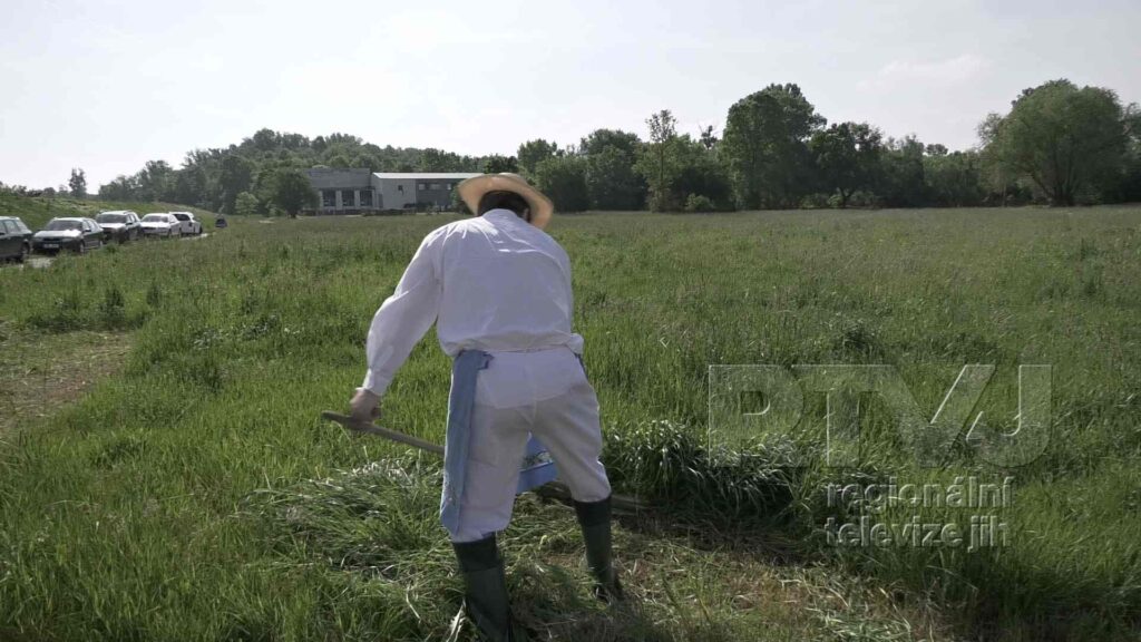 Sekáči v Bulharech soutěžili v délce pokosu i výšce stébla, foto 05