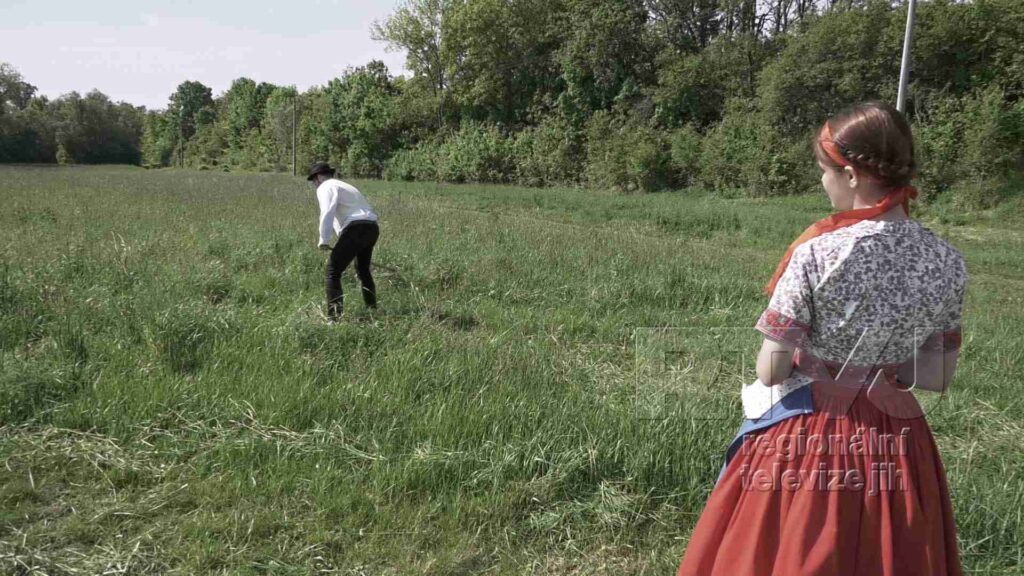 Sekáči v Bulharech soutěžili v délce pokosu i výšce stébla, foto 06