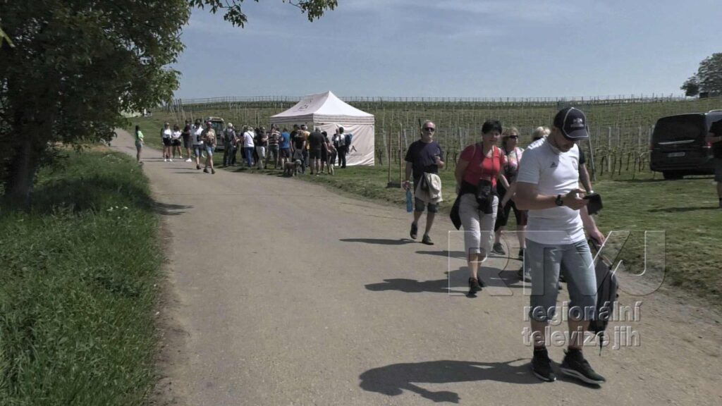 Čejkovickou vinnou stezku zahajují vinaři v traktorech, foto 08