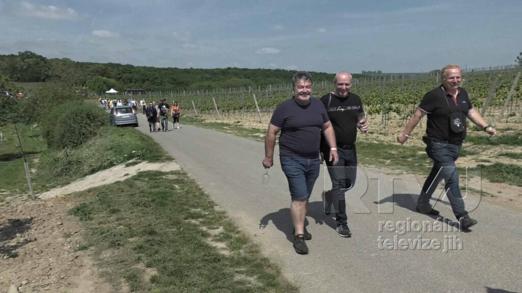Čejkovickou vinnou stezku zahajují vinaři v traktorech, foto 09