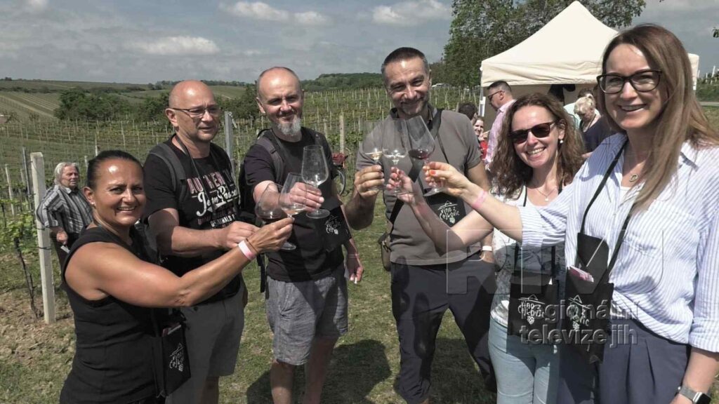 Čejkovickou vinnou stezku zahajují vinaři v traktorech, foto 10