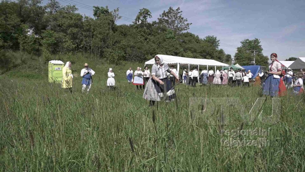 Sekáči v Bulharech soutěžili v délce pokosu i výšce stébla, foto 11