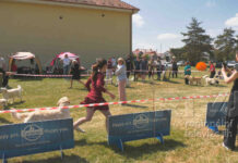 Druhou květnovou sobotu byl Hlohovec plný retrievrů