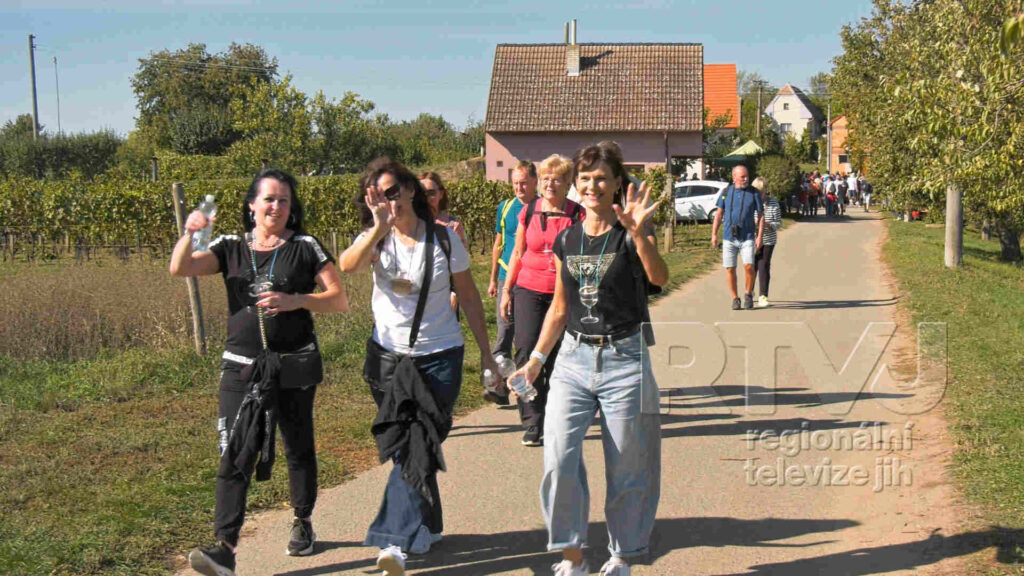 Tři trasy, tisíce turistů. Slováckými vinohrady se šlo už po osmačtyřicáté, foto 10