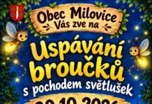 Uspávání broučků s pochodem světlušek v Milovicích